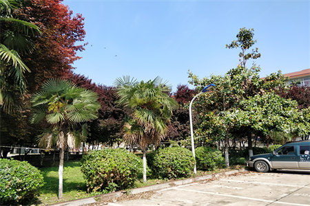 城北荣华嘉城3室2厅1卫69.8万120m2出售